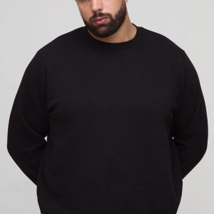 Plus Basic Regular Fit Crew Neck Sweatshirt