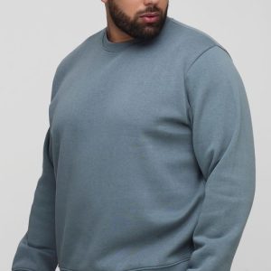 Plus Basic Regular Fit Crew Neck Sweatshirt