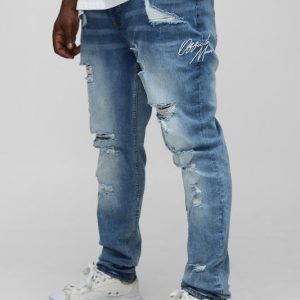 Plus Stacked Skinny Extreme Rip Embroidered Jeans