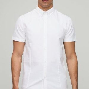 Slim Fit Button Down Collar Oxford Short Sleeve Shirt